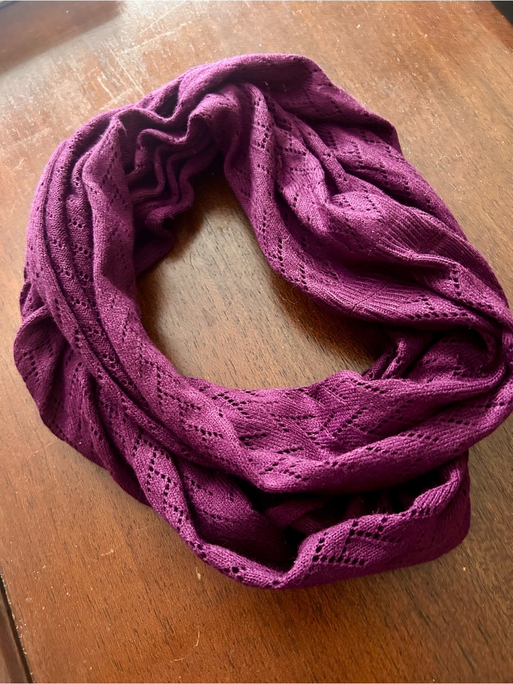 Plum Knit Infinity Scarf